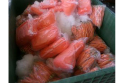 carrots with drugs