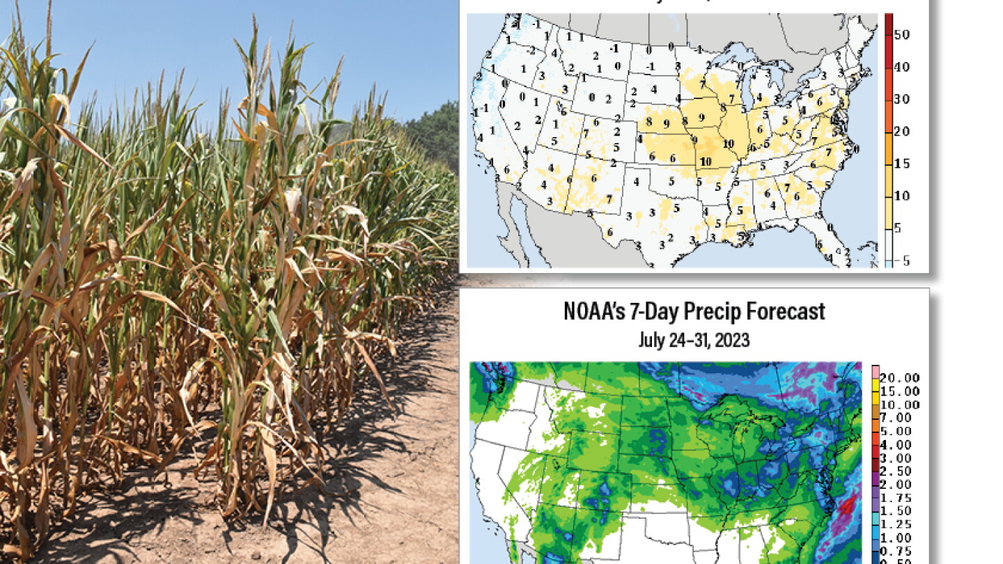 The Midwest is Set to Bake Under High Heat, Ag Meteorologists Now Worry ...