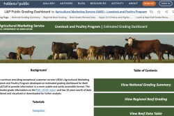 Livestock-grading.jpg