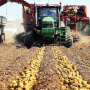 Green Thumb Farms Inc. – Maine potato harvest