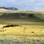 IX Ranch