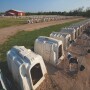 When consumers think about dairy farming, among their greatest concerns are the calves. That can be a good thing, because U.S. dairy farmers have a great story to tell about the attention to health, nutrition, and individual care they give their calves. But it also may require some flexing of rearing practices, according to bovine veterinarian and social media influencer Marissa Hake. 
