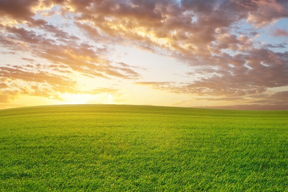 Pro Farmer's First Thing Today
