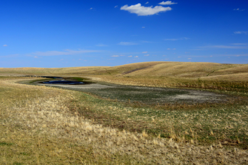 Waterhole