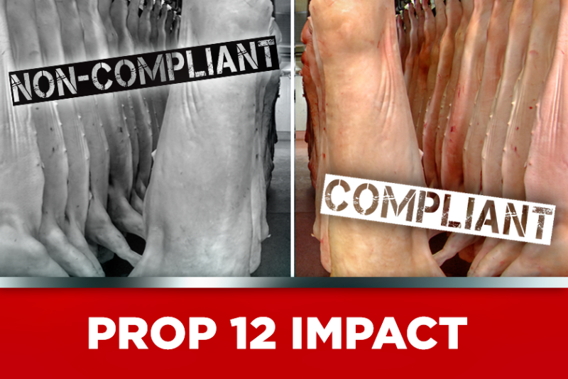 Prop 12 Non-Compliant 
