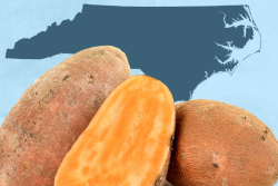A photo of sweet potatoes and a map of North Carolina
