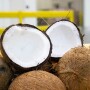 Coconut.jpg