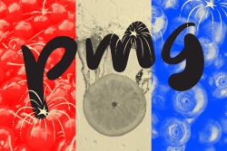 PMG top 20