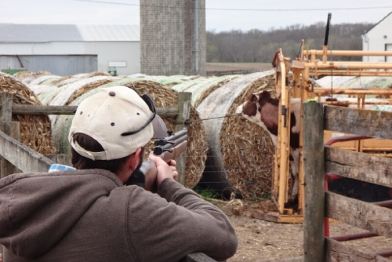 Remote Cattle Injection System in Livestock Farm Application