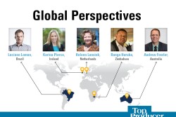 Global Perspectives