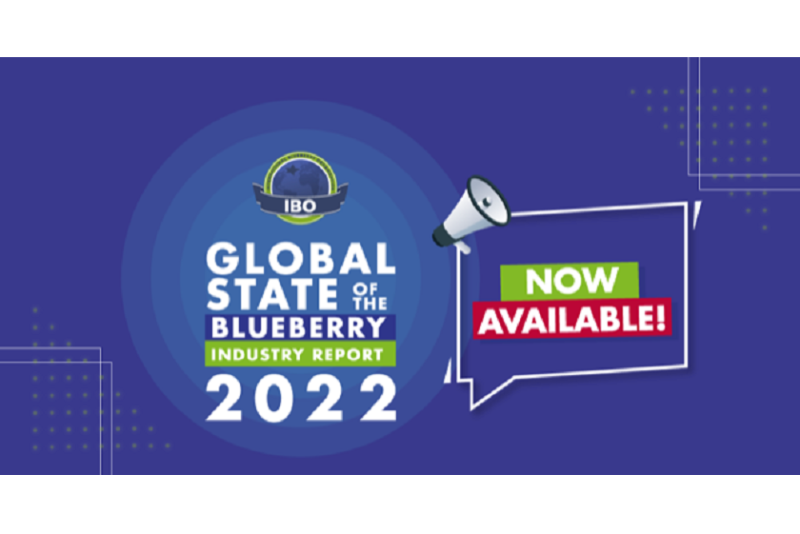 Blueberry report