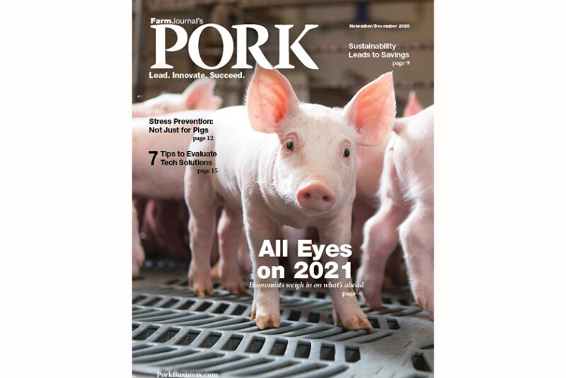 PORK Cover