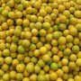 lemon.jpg