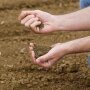 The U.S. Roundtable for Sustainable Beef and the STAR program developed in Illinois are two examples of how agriculture is raising the bar on measuring sustainability. 