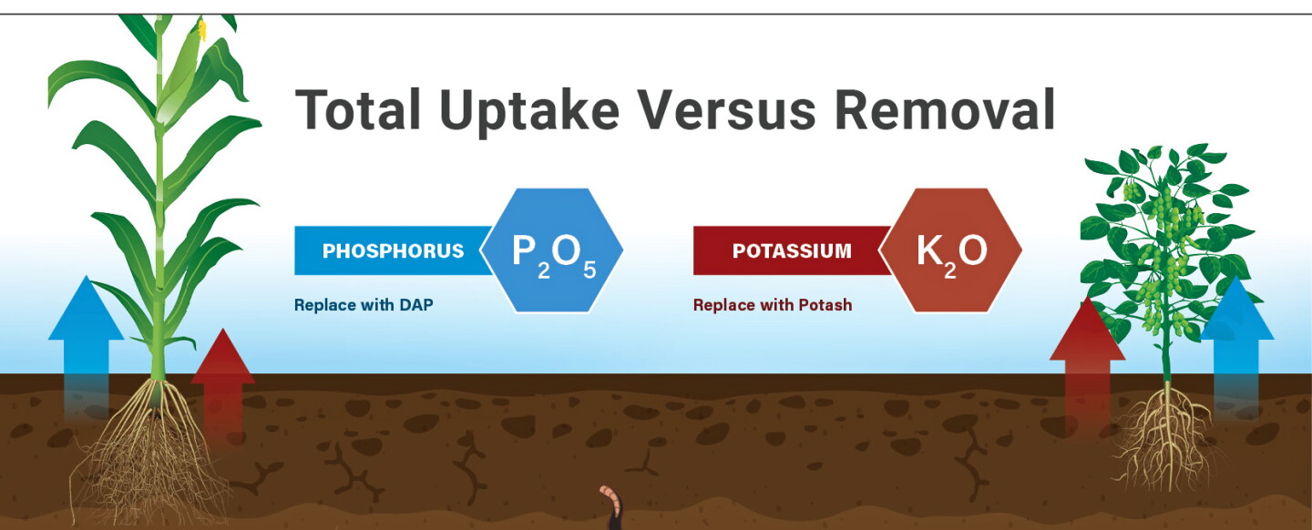 Withdraw Fertilizing Can You Cut Fertilizer Expenses? - AgWeb
