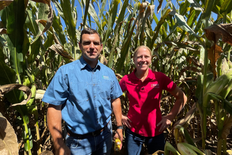 Showing up as black speckled dots on plant leaves, tar spot has the potential of severely reducing yield, with some reported losses of 20 bu. to up to 100 bu, per acre. 