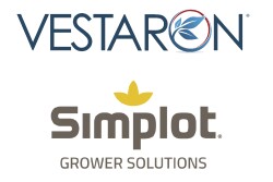 Vestaron and SImplot-01.jpg