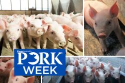 PORK Week