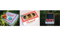 Shillington Box Co..png