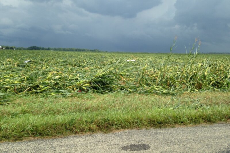 tornado damage near Mace, Indiana