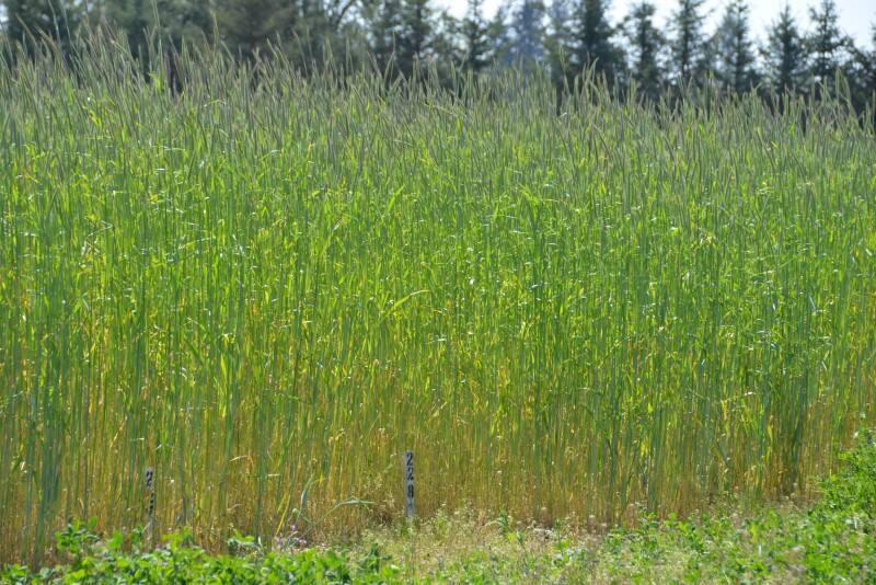 CRP rates changed in many counties this past year.