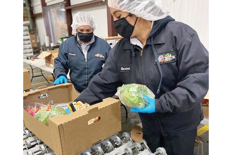 Workers for Liberty Fruit Co. Inc. pack produce for the U.S. Department of Agriculture’s Farmers to Families Food Box Program.