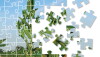 Weed Puzzle
