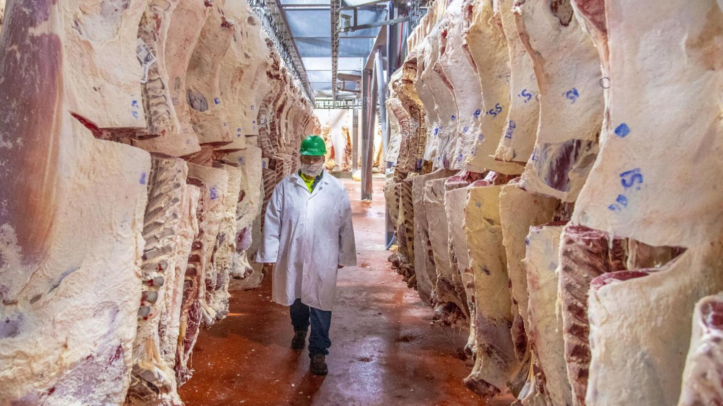 Final Grants Through the Meat and Poultry Processing Expansion Program ...