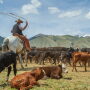 Beaverhead Ranch