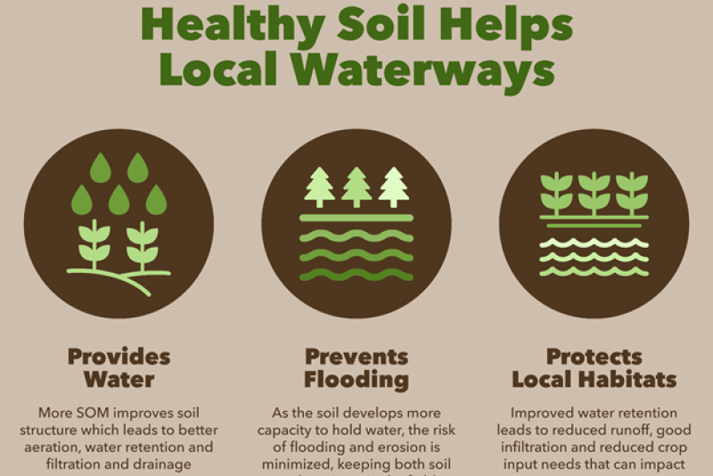 Healthy Soil Matters.png