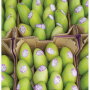 Honey/ataulfo mangoes, as well as kents and keitts, have seen significantly more demand in the past few years, says Gilmar Mello, managing partner of Amazon Produce Network, as retailers want more fiberless varieties.