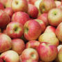 4DF2227D-003C-497B-9DD8936D09710430.png