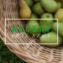F848C80C-3991-4D75-9BF5DB15BC70AAA7.png