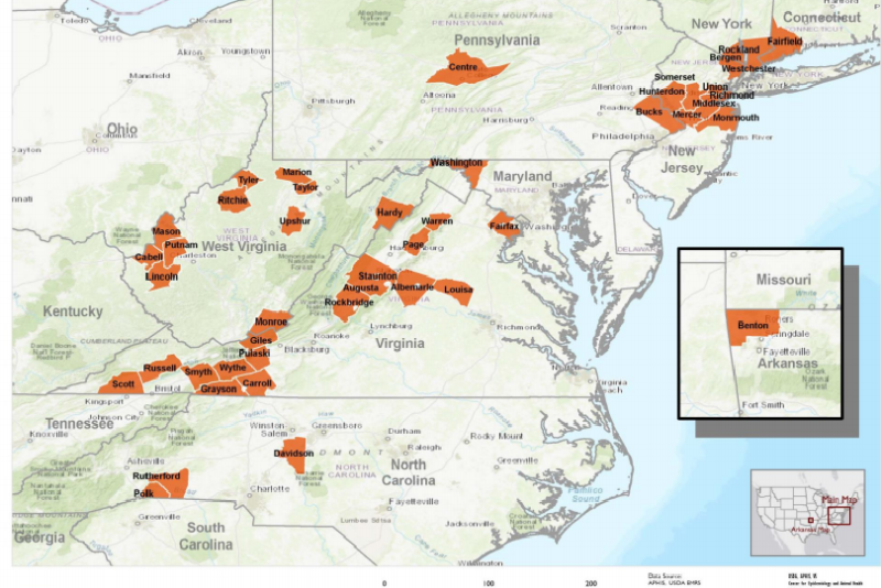 In two years since the first positive ID in New Jersey, the longhorned tick has spread into several Eastern states.