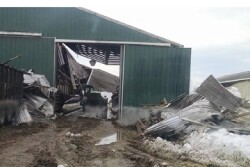 Eden_NY_Dairy_Barn__1_-_Copy