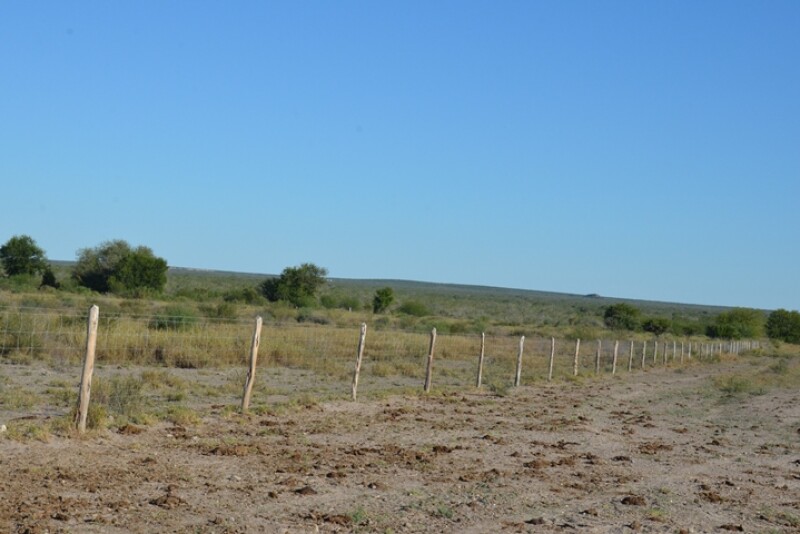 South Texas Fence Drought