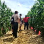 ken_ferrie_corn_college