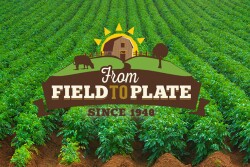 field.jpg