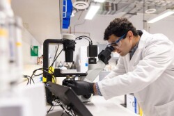 Adham Ali, A24, examines specimens under a microscope in the Kaplan Lab. 
