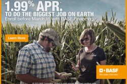 BASF Financing