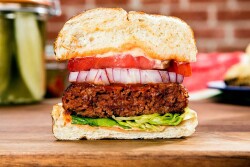 Beyond Meat Inc.