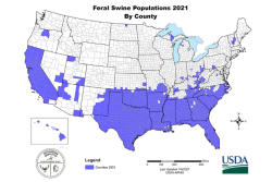 Feral Swine Map 2021