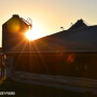 hog barn feed sunset - Lindsey Pound
