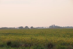 The farm economy remains under pressure, with several key indicators showing farmers are facing financial strain. But, a few positive factors could help support credit conditions in the future.