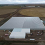 The expanded greenhouse in Redcliff, Alberta, shipped out its first tomatoes-on-the-vine for the winter season.
