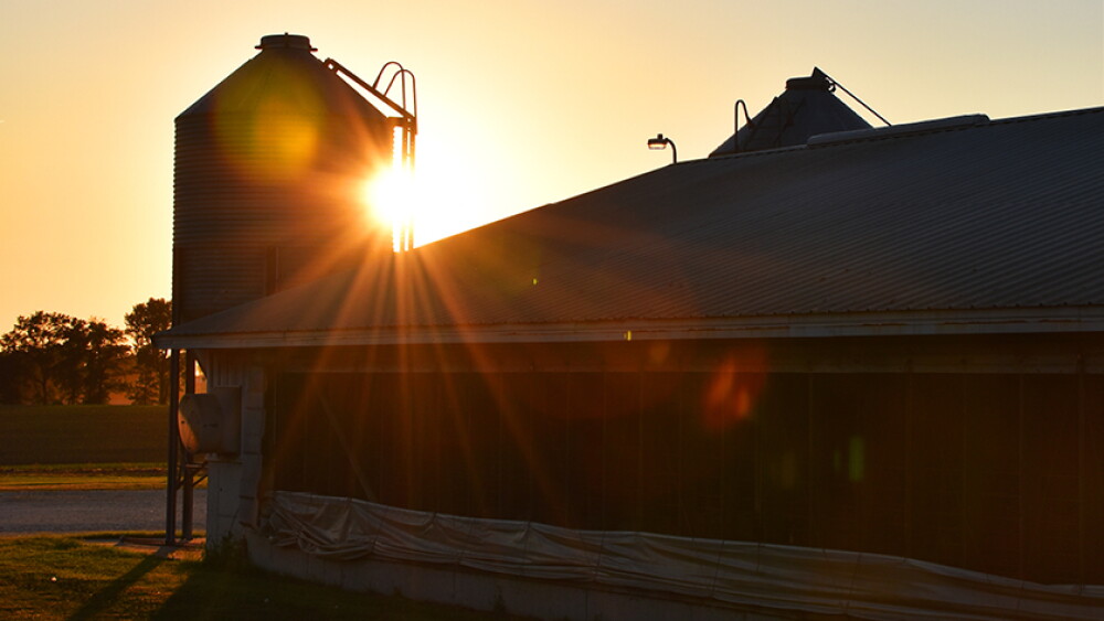 hog barn feed sunset - Lindsey Pound