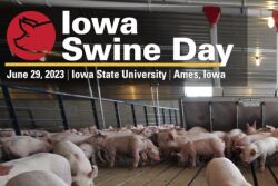 Iowa Swine Day 2023