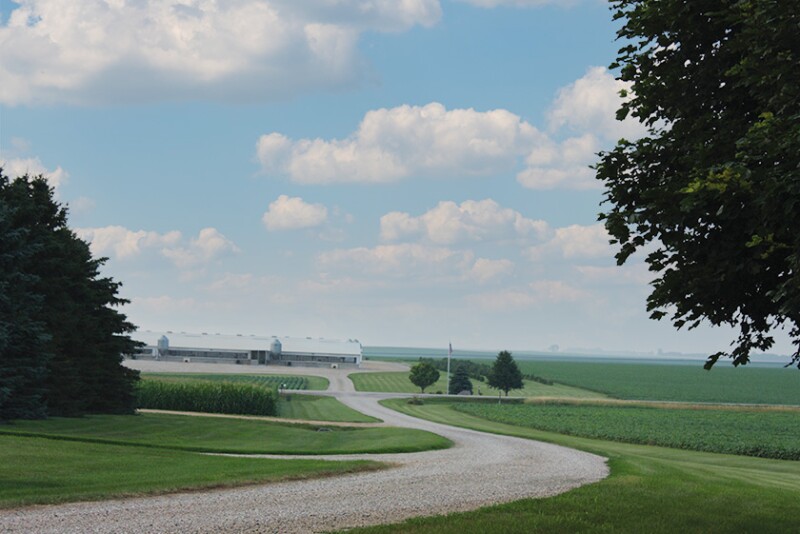 Pig-Farm.jpg