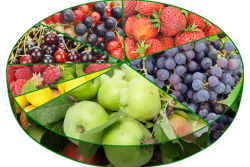 produce pie chart