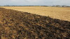 Hybrid Tillage
